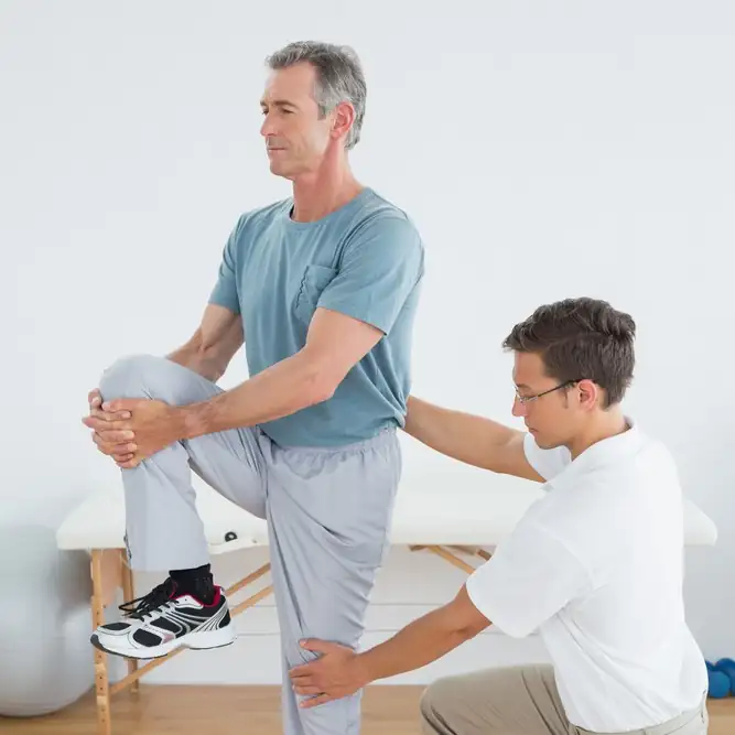 vestibular unit